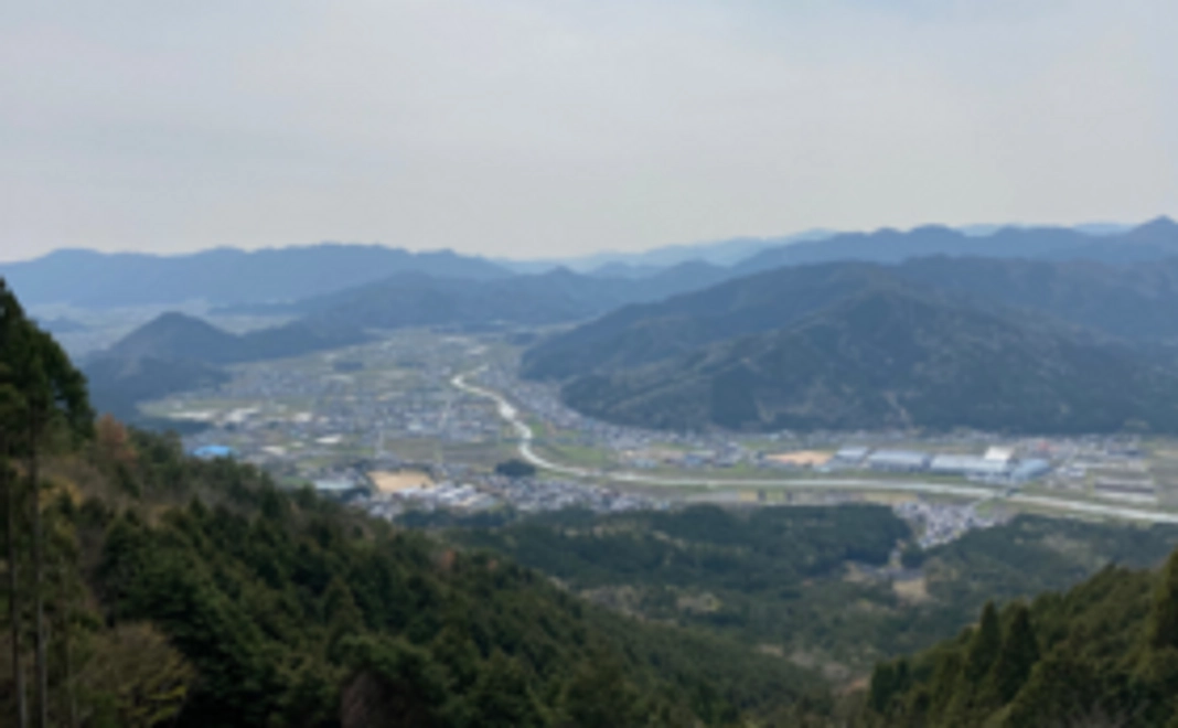 【丹波みすまる応援コース】お礼メール