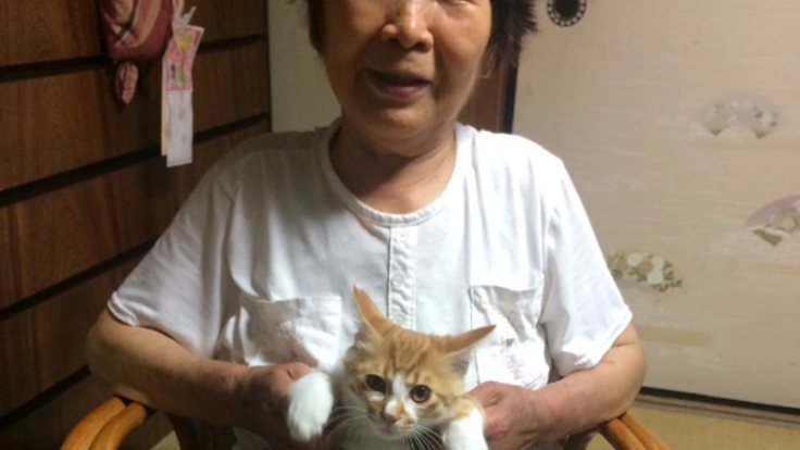 介護認定を受け、生活が不自由になった祖母の為に住宅