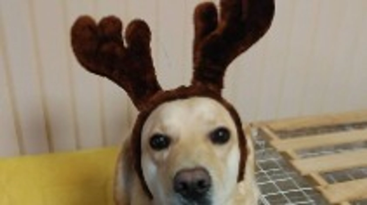 サンタさんと残り時間