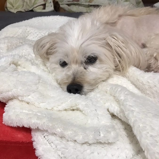 緊急入院から3日目