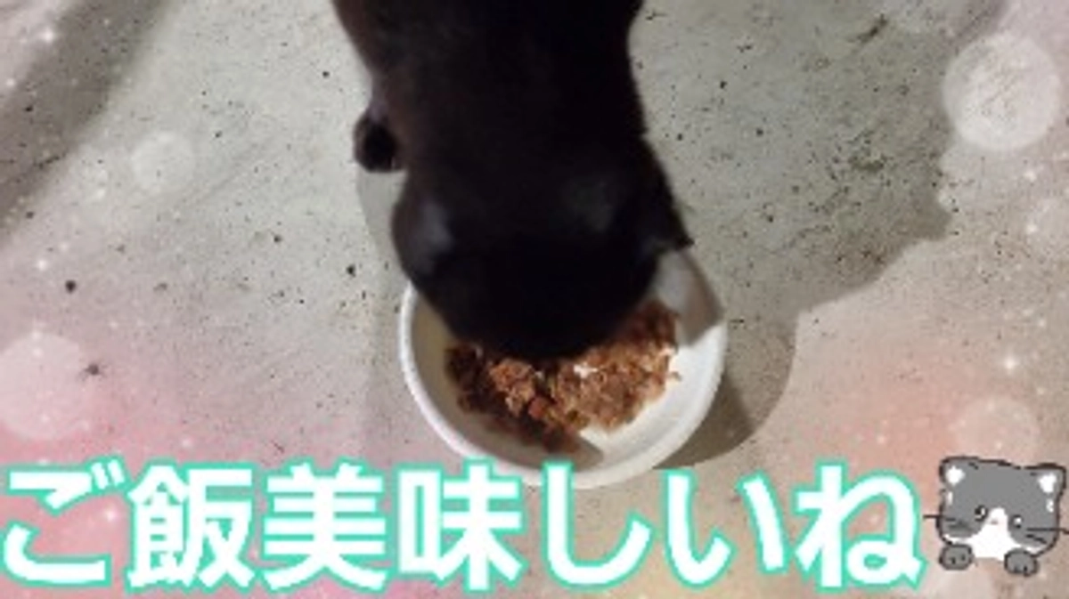 いつも応援ありがとうございます。NEXTゴール挑戦しております。