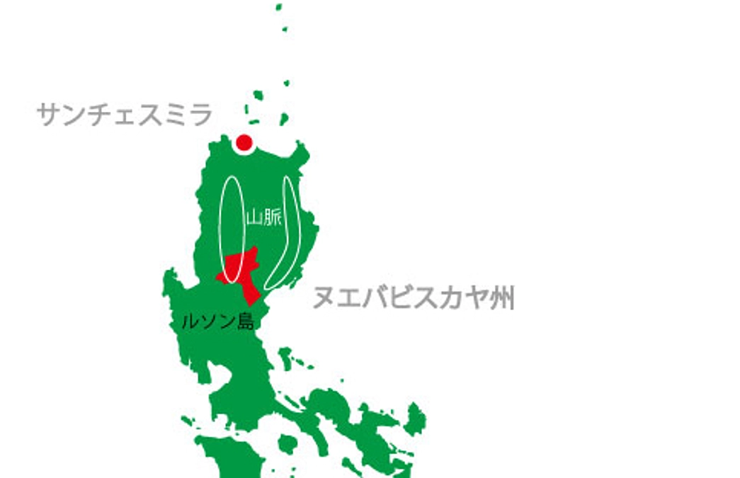 渡りルート全容解明のために！（フィリピン）