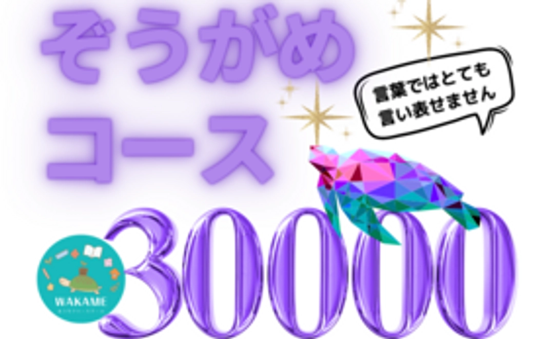 30000円サポート☆ゾウガメコース