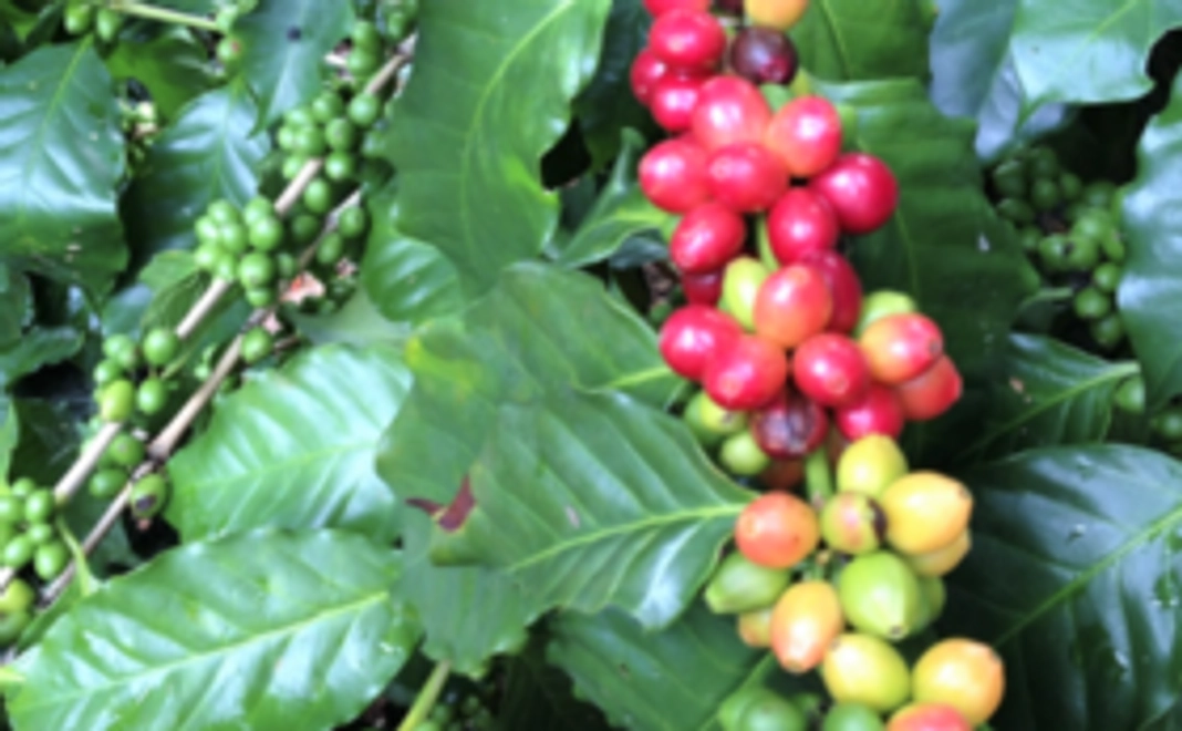 【皆様の応援の結集が大きなチカラになります】