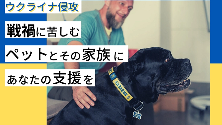ウクライナ侵攻〜戦禍に苦しむペットやその家族にあなたの支援を〜