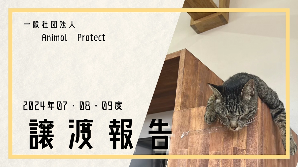 2024年度　7.8.9月活動報告