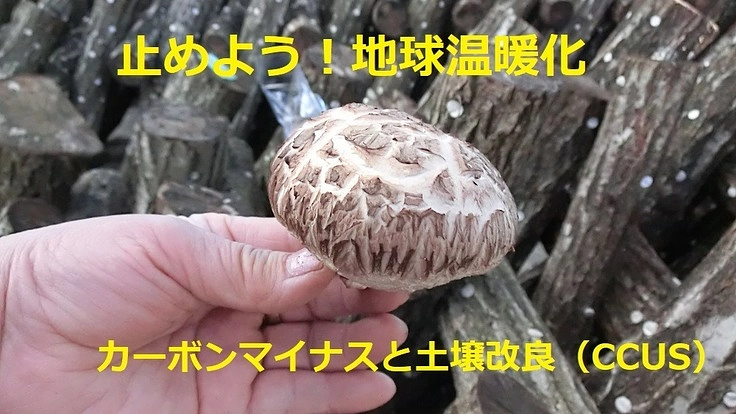 止めよう！地球温暖化　カーボンマイナスと土壌改良（CCUS）