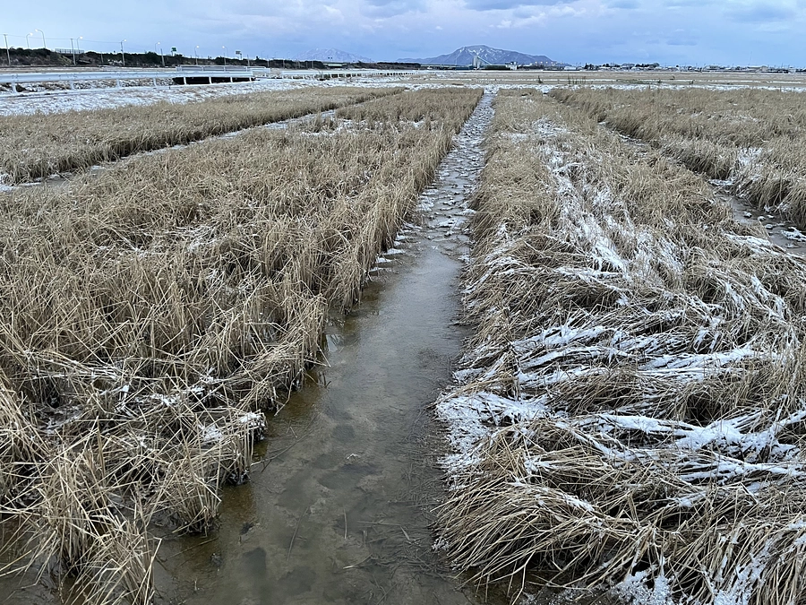 クラウドファンディング活動報告のご案内（3/1土曜18時から、新潟で会いましょう！）