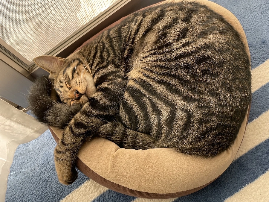 現状報告④大きくなりました🍀