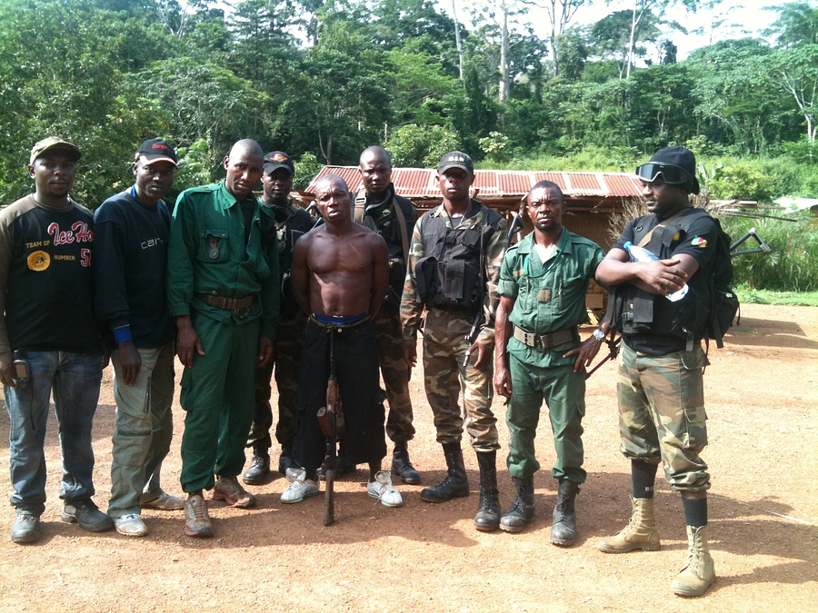 7月31日はWorld Ranger Day ―レンジャーが抱える課題―