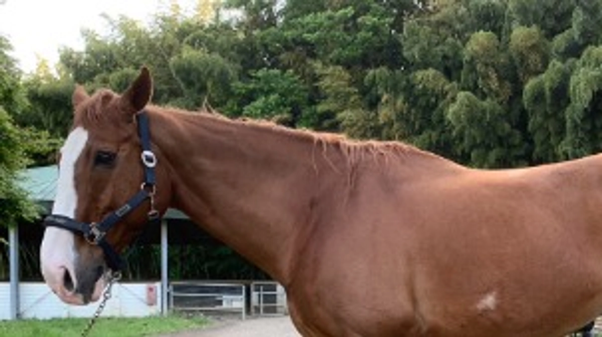 皆様、こんにちは！