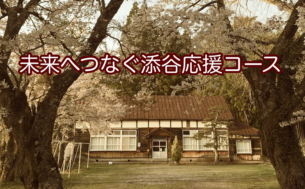 添谷応援コース1000(気持ちだけでも大歓迎!)