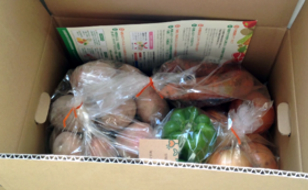 【北海道産】有機野菜のセット（約３キロ）
