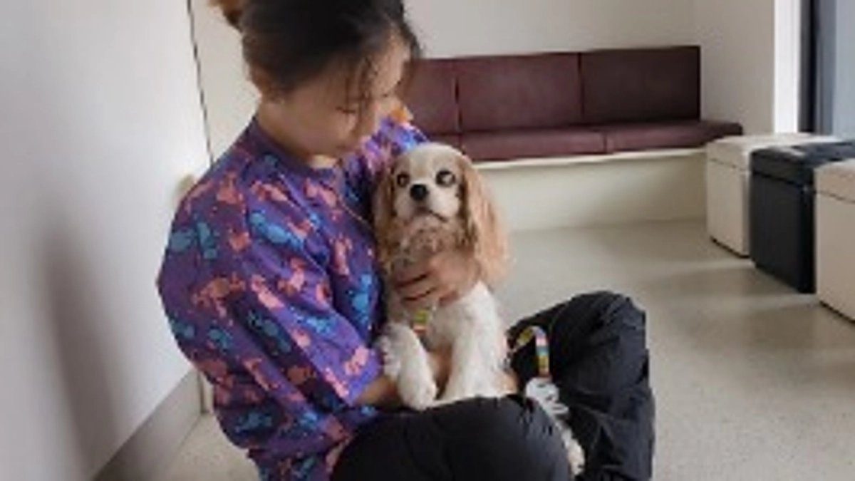 ロック君と私。