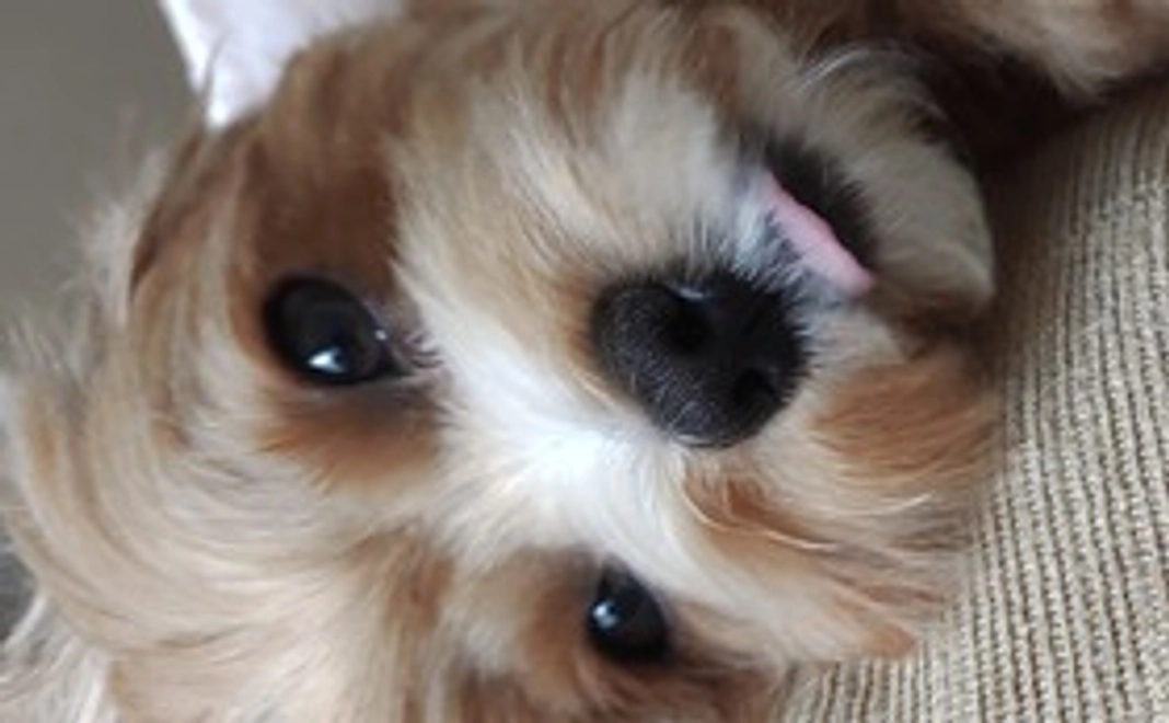 ご支援に感謝致します①