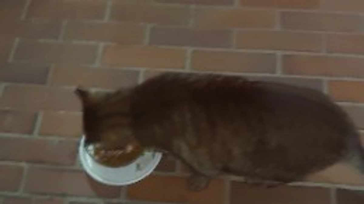 現状の報告と今後について