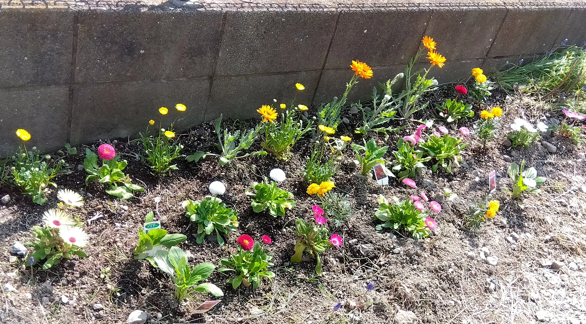 第24回21888円のご支援金を頂戴致しました✨