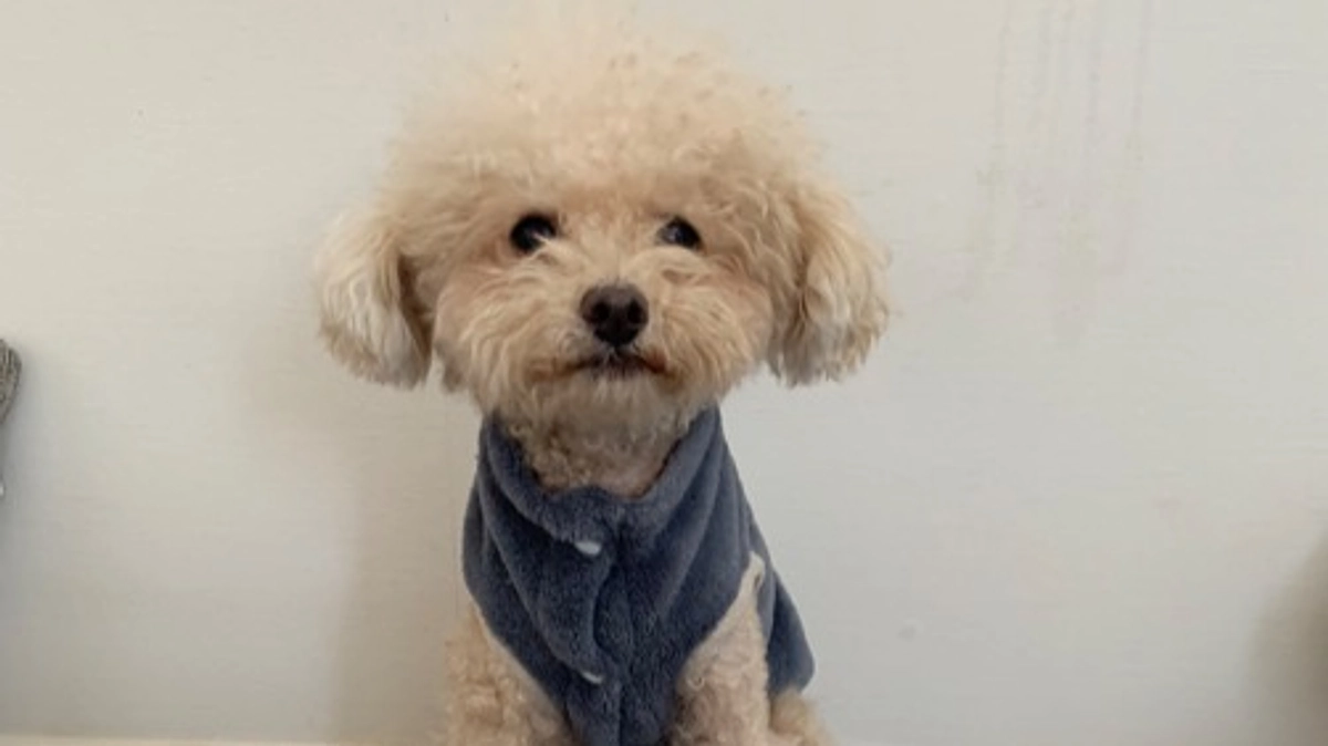 56日間ありがとうございました！