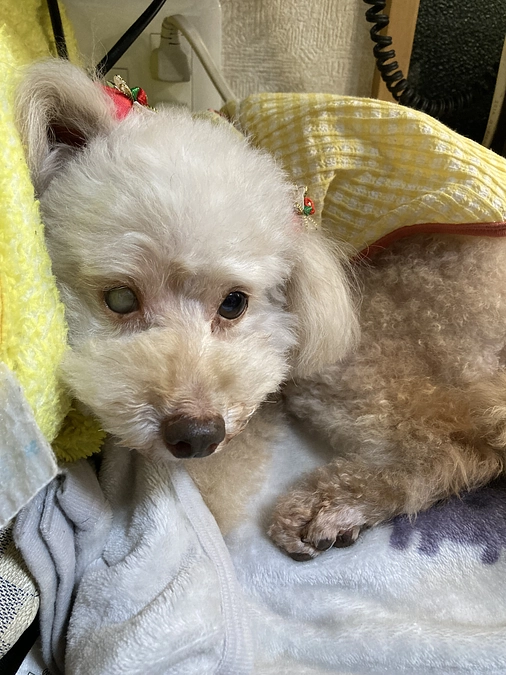 7/23のありがとうございます！