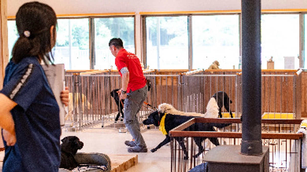 防災訓練で犬たちを守る