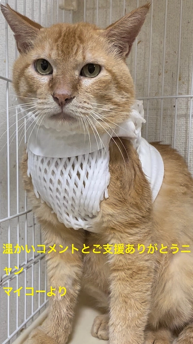 目標達成致しました‼️