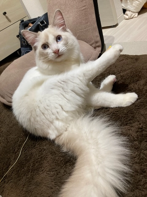 投薬２８日目(2023.4.9)