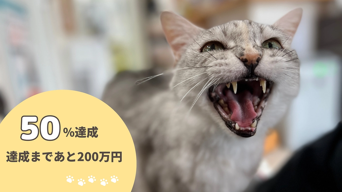 50%突破！達成まであと200万円