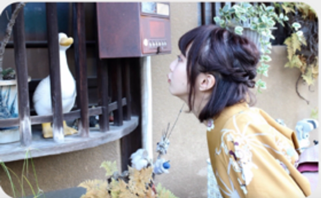 ちょこっと美女図鑑