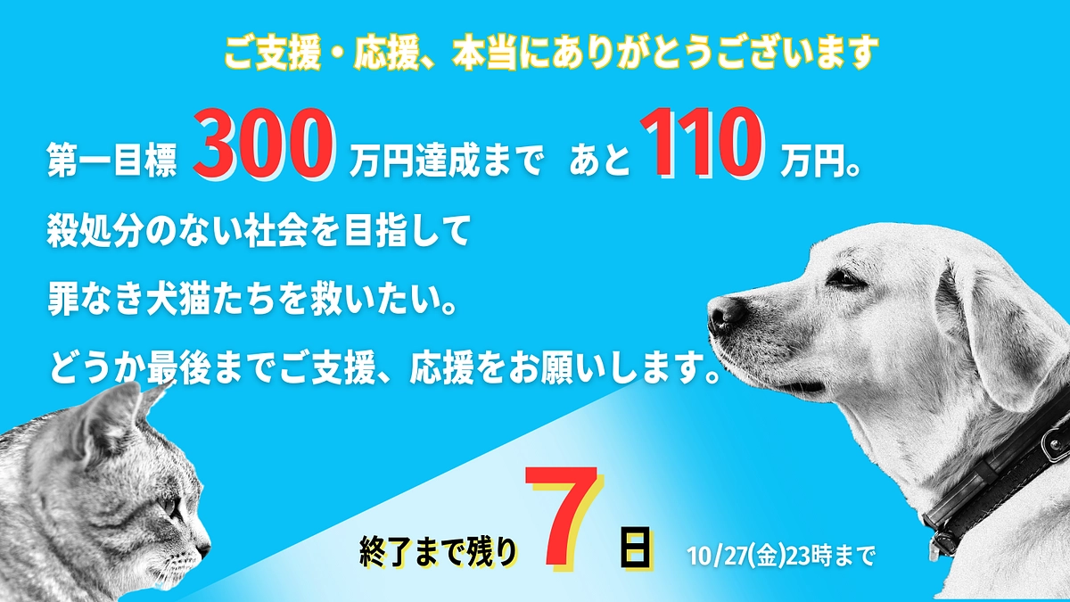あたたかい応援、ご支援をありがとうございます。残り【7日】最後まで頑張ります！