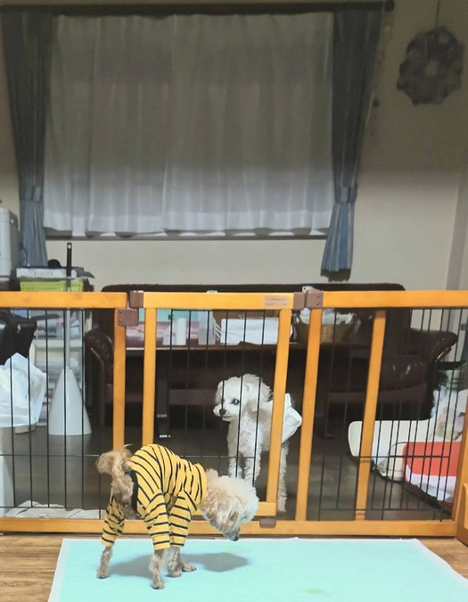 クラウドファンディング終了まで残り2日となりました！