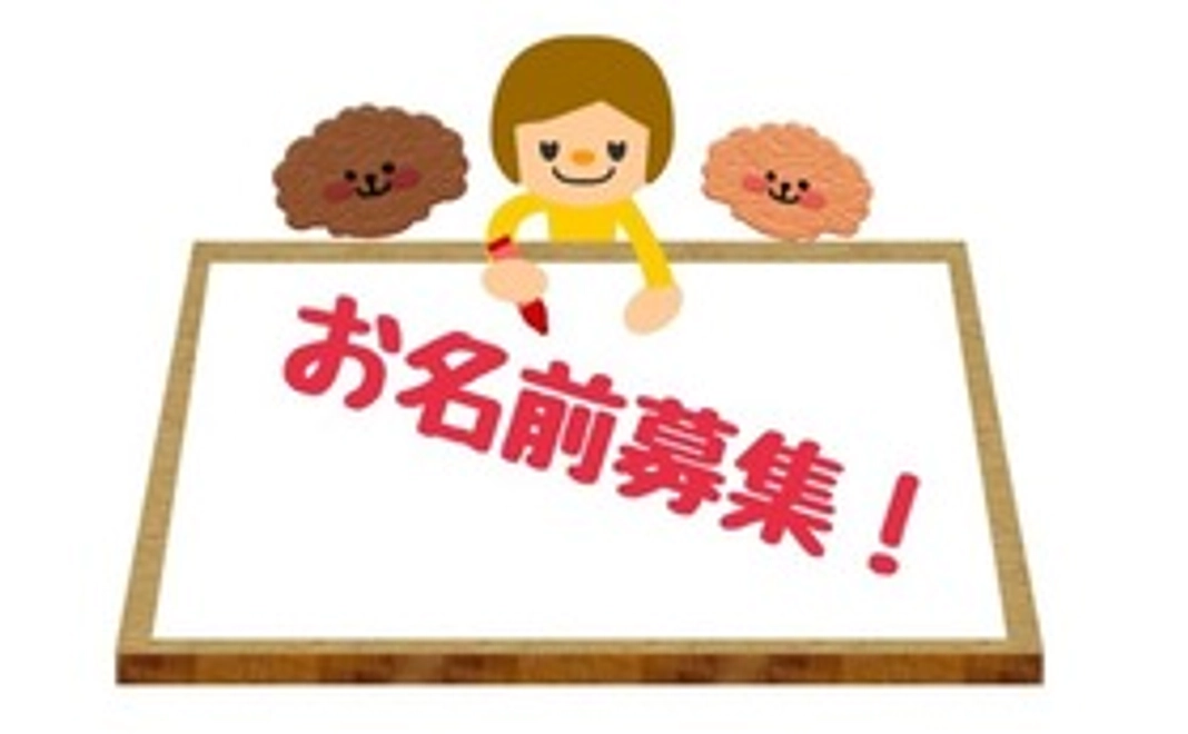 シャンプーの名前を応募する権利！