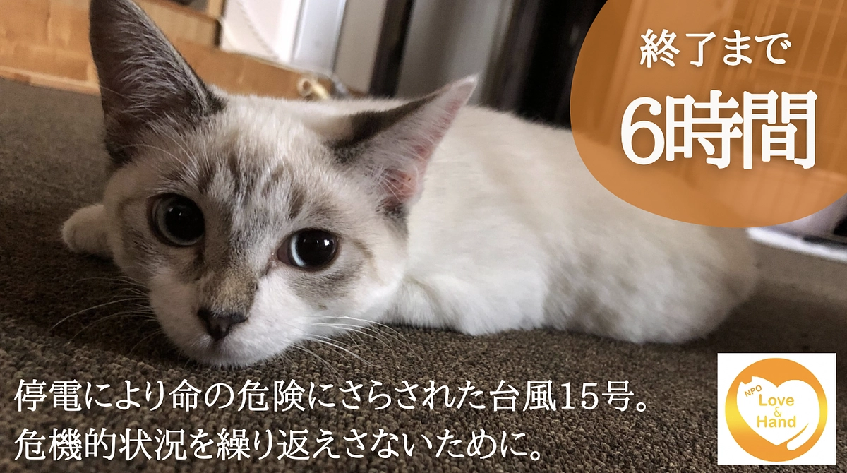 終了まで残り6時間となりました！