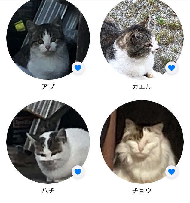 活動報告になっていない