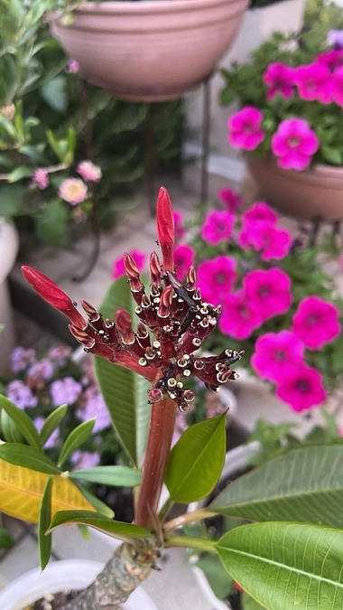 目標金額を達成させていただきました‼️