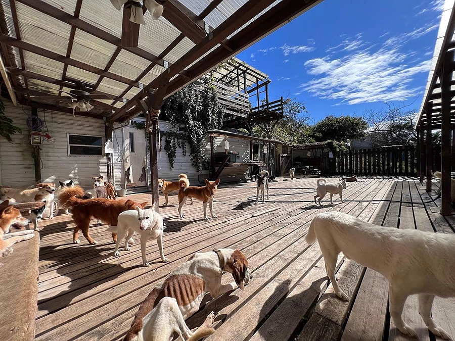 【残り2日！】沢山の皆様に支えられてやって来れたこの13年。今までとは違う気持ちで振り返っています。