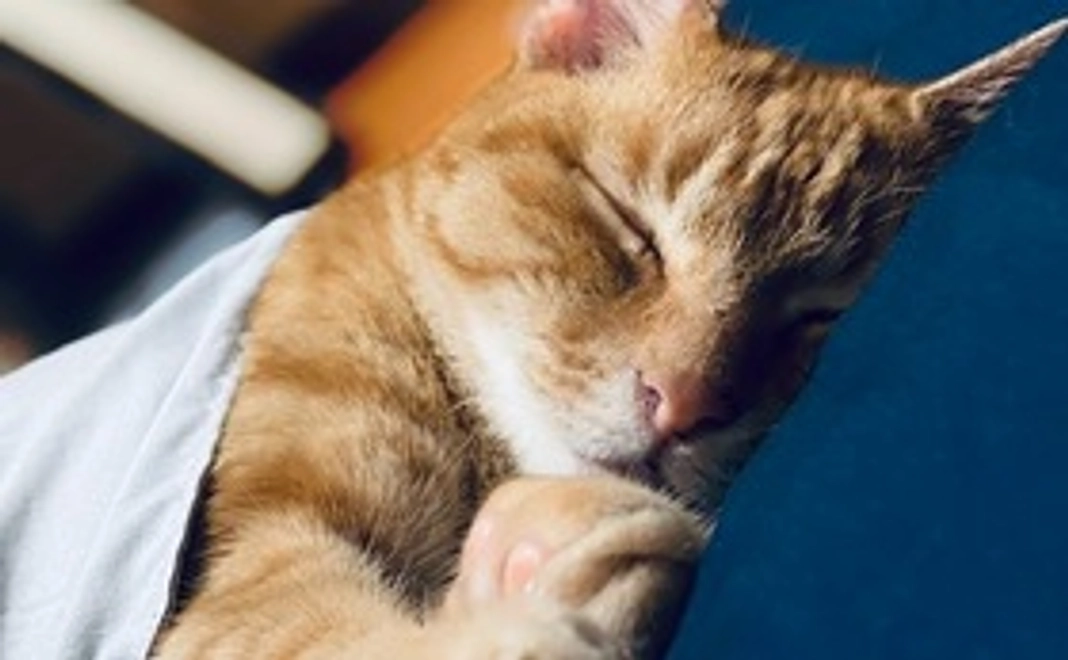 心を込めた感謝のメール1