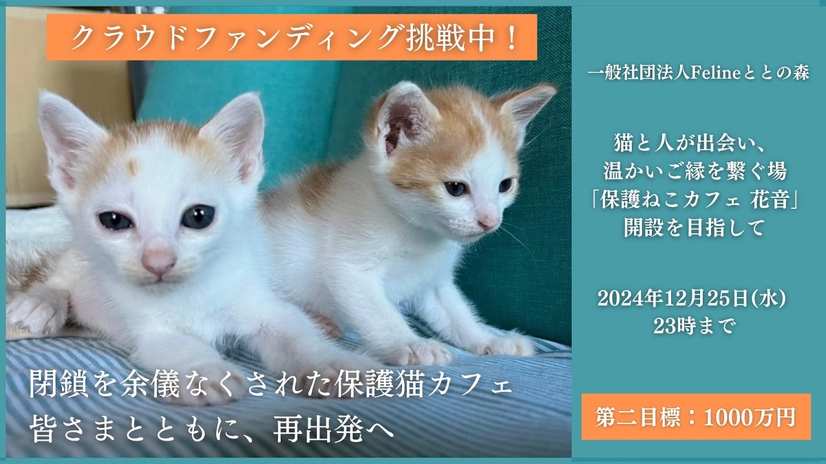 【ありがとうございます！第一目標突破】言葉にならない感謝とネクストゴールについて！