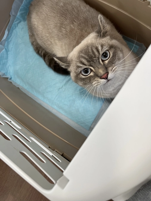 病院に行ってきました