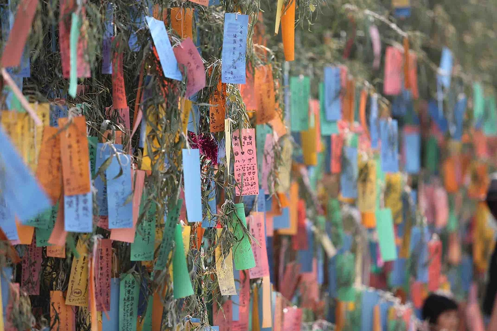 朝日新聞大阪版に載りました