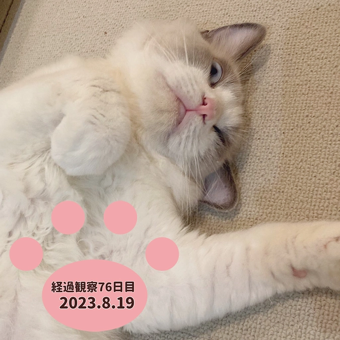 経過観察76日目(2023.8.19)