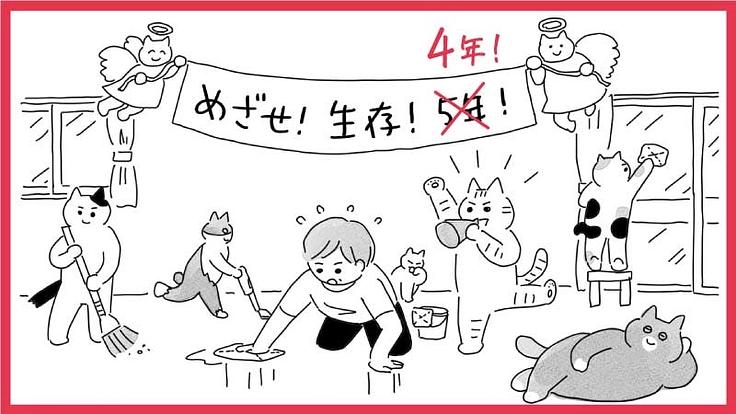 保護猫シェルター運営にご支援を/癌となったボランティからのお願い