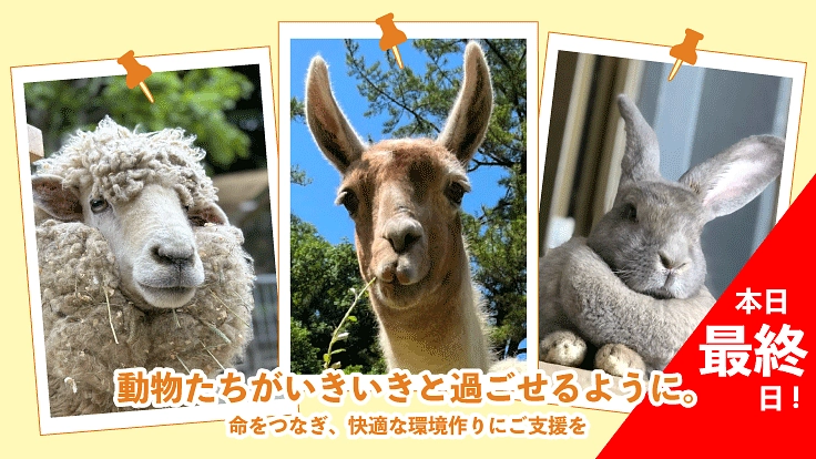41年間みんなに愛される岡崎市東公園動物園。動物の住環境向上へ！