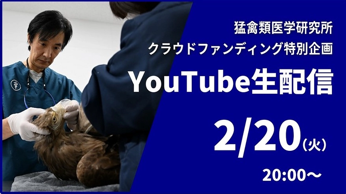 【本日20時から！ YouTube生配信】特別企画をお見逃しなく！
