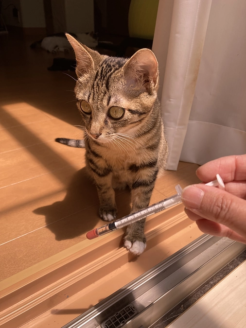 5/3の診察のご報告です