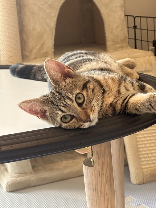 投薬方法の変更