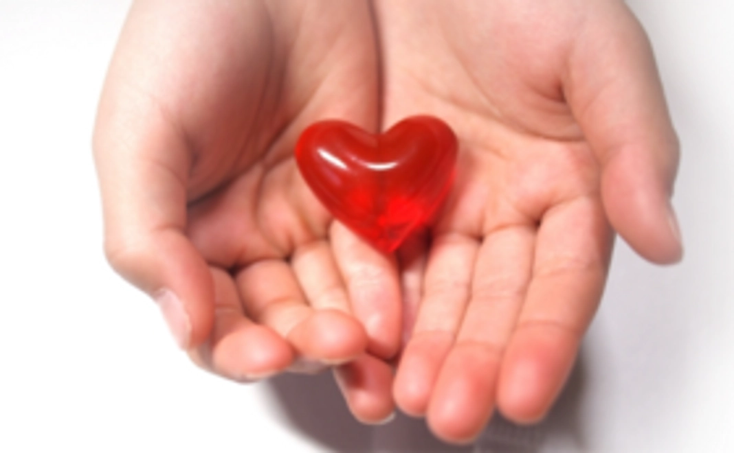 Mex応援プラン5000