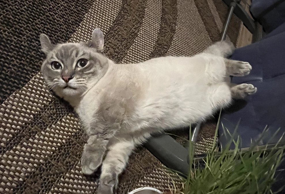 リターン送付完了いたしました。