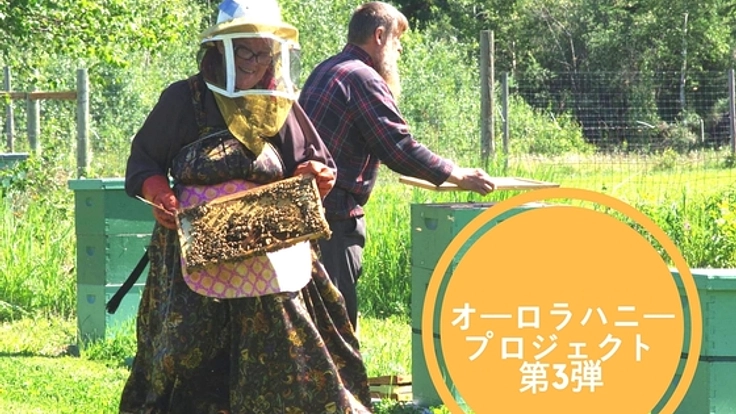 オーロラハニーの天然酵母でパン作り！アラスカの村を支えたい！