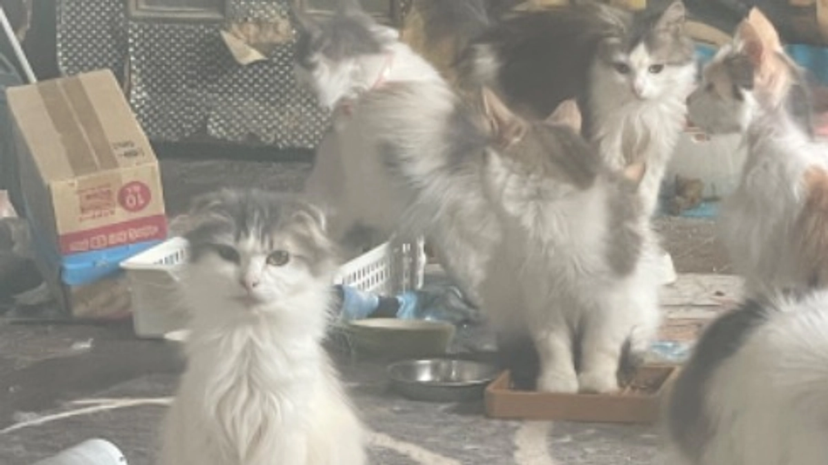 ネクストゴール設定いたしました！