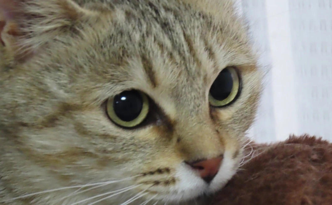 ①神様仏様プラン【3,000円】